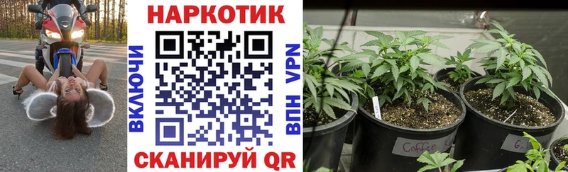 Какие есть наркотики Вилюйск КОКАИН  Марихуана  Меф  ГАШ 