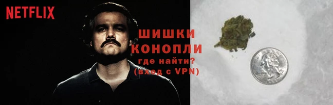 трава Навашино