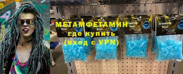 прущие грибы Заволжье