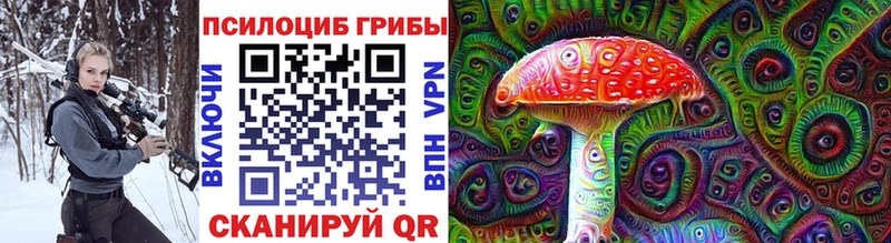 блэк спрут зеркало  Вилюйск  Галлюциногенные грибы MAGIC MUSHROOMS 